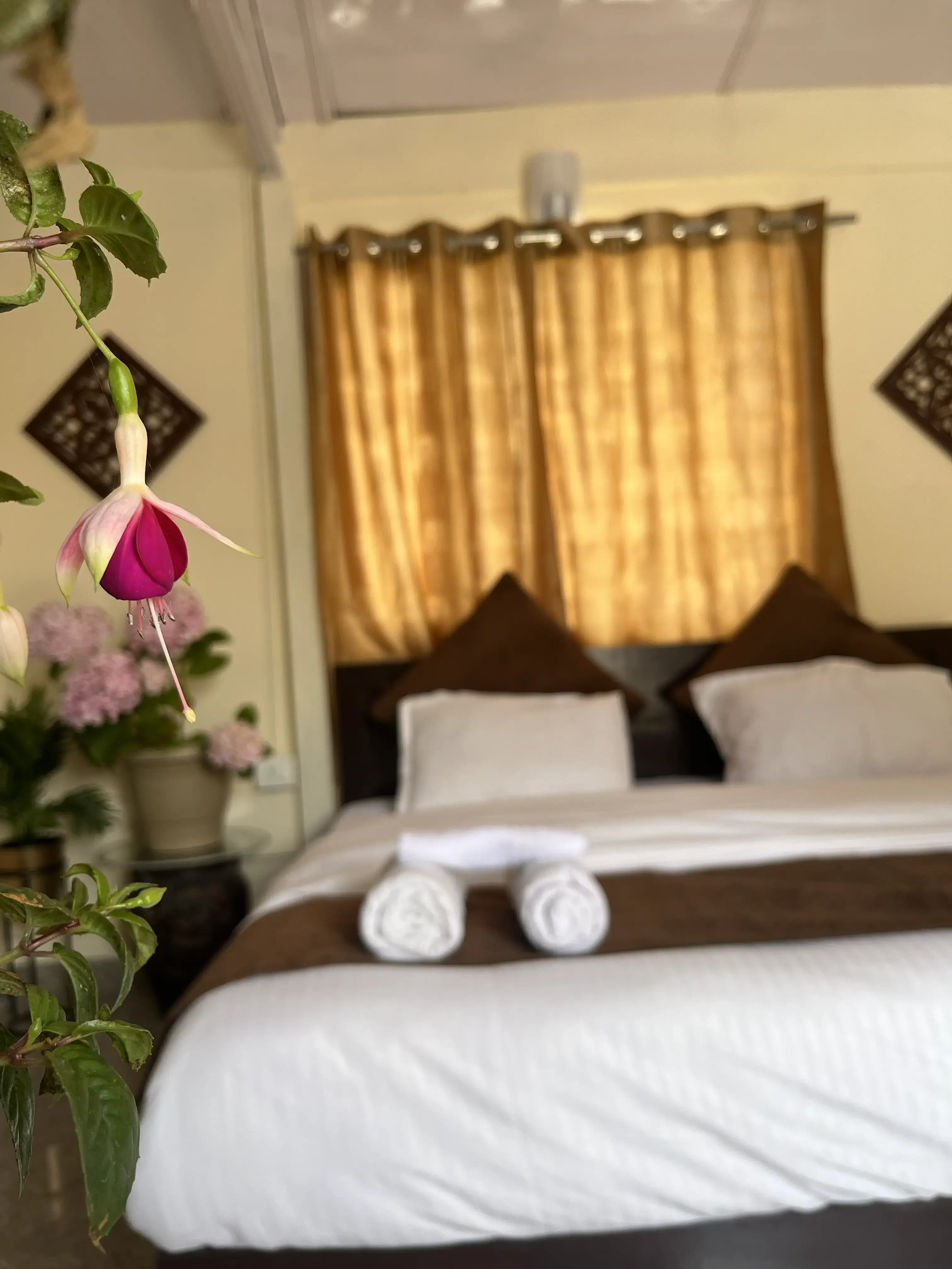 Suite with Mountain View