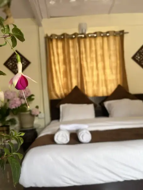 The east-facing Suite at Ecoescape — designed with stepless access for elderly guests