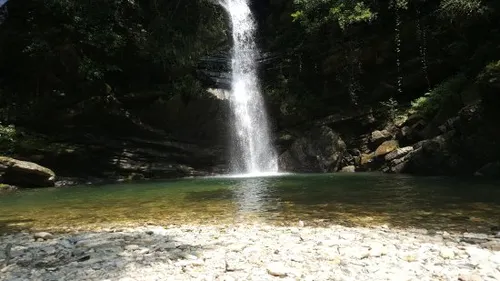 Bhalu Gaad Waterfalls flowing through lush green forest in monsoon