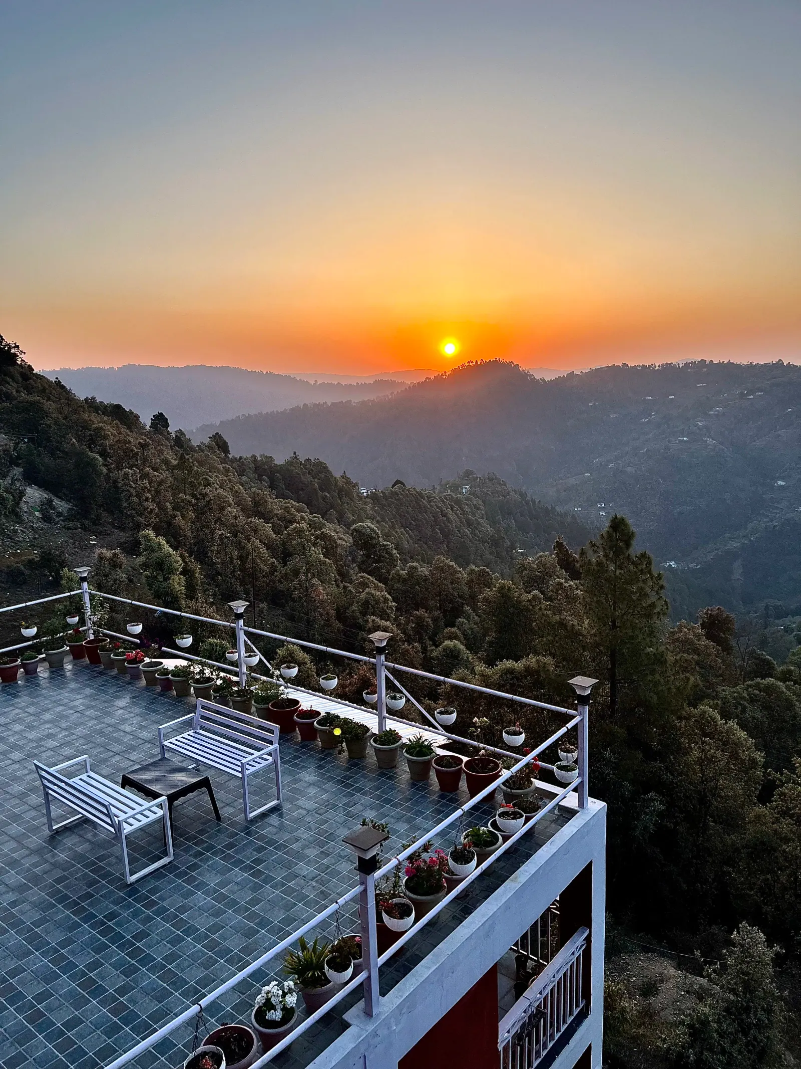 Ecoescape Mukteshwar garden with blooming roses and mountain views